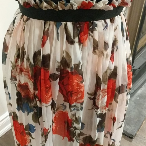 Dress with lined semi sheer floral skirt - Picture 3 of 5